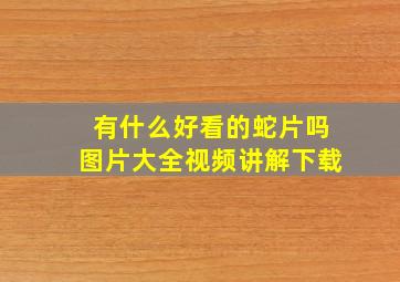 有什么好看的蛇片吗图片大全视频讲解下载