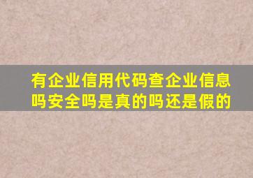 有企业信用代码查企业信息吗安全吗是真的吗还是假的