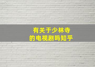 有关于少林寺的电视剧吗知乎