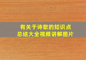 有关于诗歌的知识点总结大全视频讲解图片