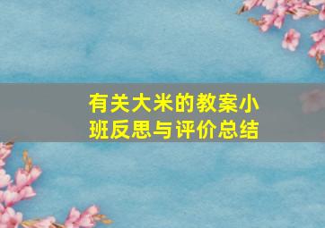 有关大米的教案小班反思与评价总结