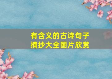 有含义的古诗句子摘抄大全图片欣赏