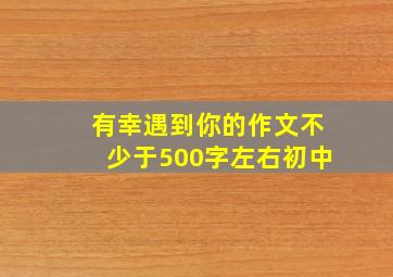 有幸遇到你的作文不少于500字左右初中