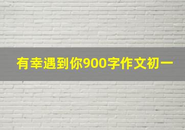 有幸遇到你900字作文初一