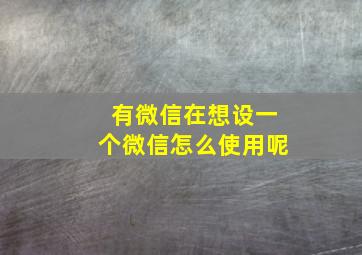 有微信在想设一个微信怎么使用呢