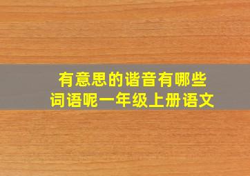 有意思的谐音有哪些词语呢一年级上册语文