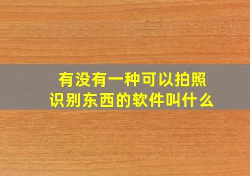 有没有一种可以拍照识别东西的软件叫什么