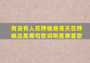 有没有人在呼唤我苍天在呼唤这是哪句歌词啊是哪首歌