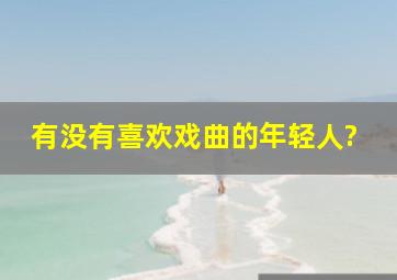 有没有喜欢戏曲的年轻人?