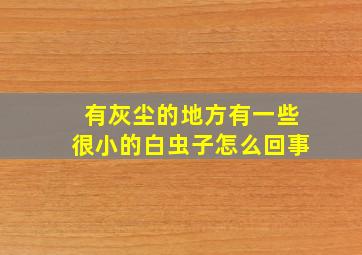 有灰尘的地方有一些很小的白虫子怎么回事