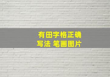 有田字格正确写法 笔画图片