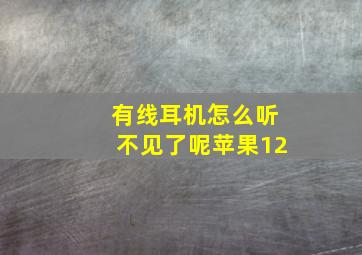 有线耳机怎么听不见了呢苹果12