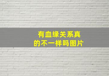 有血缘关系真的不一样吗图片