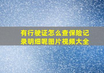 有行驶证怎么查保险记录明细呢图片视频大全