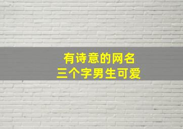 有诗意的网名三个字男生可爱