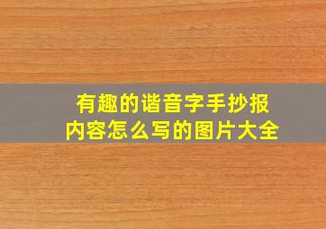 有趣的谐音字手抄报内容怎么写的图片大全