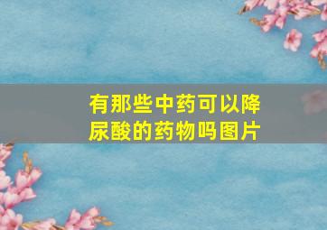 有那些中药可以降尿酸的药物吗图片