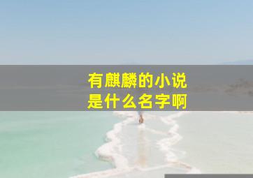 有麒麟的小说是什么名字啊