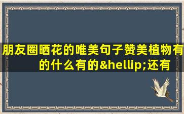 朋友圈晒花的唯美句子赞美植物有的什么有的…还有