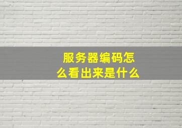 服务器编码怎么看出来是什么