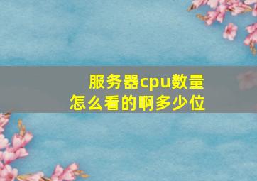 服务器cpu数量怎么看的啊多少位