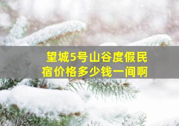 望城5号山谷度假民宿价格多少钱一间啊