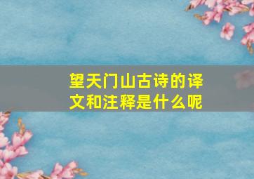 望天门山古诗的译文和注释是什么呢