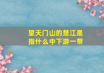 望天门山的楚江是指什么中下游一带