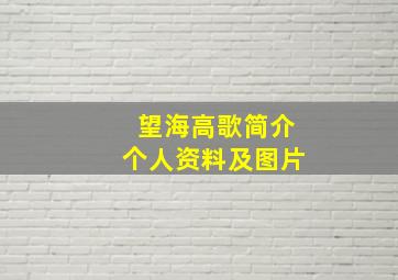 望海高歌简介个人资料及图片