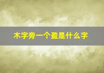 木字旁一个盈是什么字