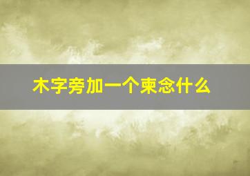 木字旁加一个柬念什么