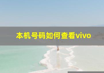 本机号码如何查看vivo