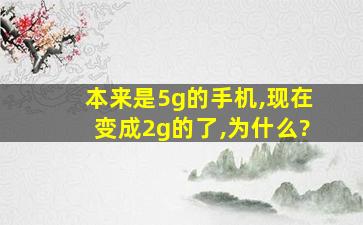 本来是5g的手机,现在变成2g的了,为什么?