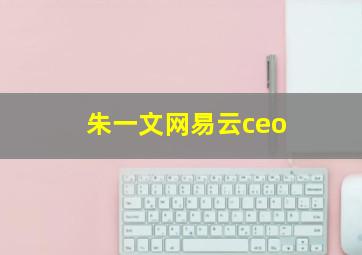 朱一文网易云ceo