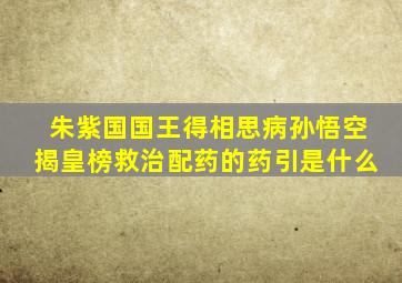 朱紫国国王得相思病孙悟空揭皇榜救治配药的药引是什么