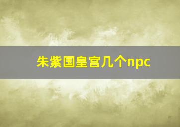 朱紫国皇宫几个npc