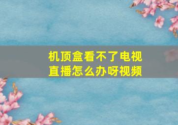 机顶盒看不了电视直播怎么办呀视频