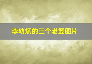 李幼斌的三个老婆图片