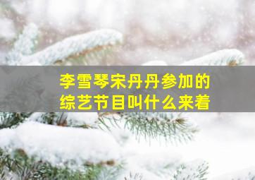 李雪琴宋丹丹参加的综艺节目叫什么来着