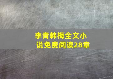 李青韩梅全文小说免费阅读28章