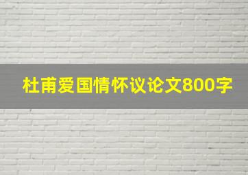 杜甫爱国情怀议论文800字