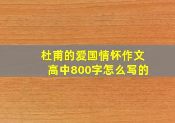 杜甫的爱国情怀作文高中800字怎么写的