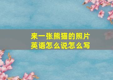 来一张熊猫的照片英语怎么说怎么写