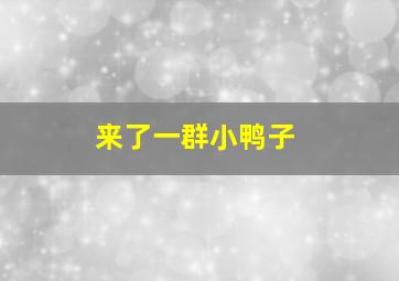 来了一群小鸭子