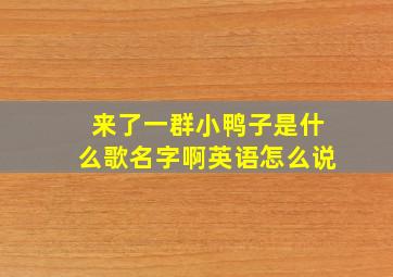 来了一群小鸭子是什么歌名字啊英语怎么说