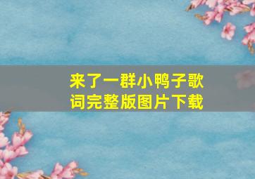 来了一群小鸭子歌词完整版图片下载