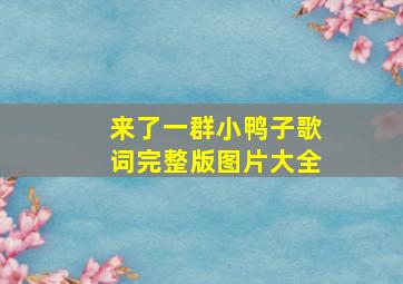 来了一群小鸭子歌词完整版图片大全