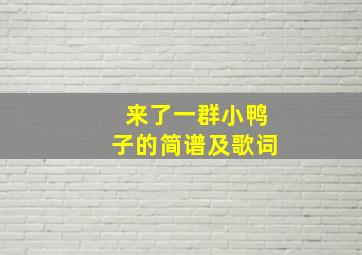 来了一群小鸭子的简谱及歌词