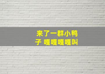 来了一群小鸭子 嘎嘎嘎嘎叫