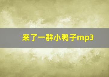 来了一群小鸭子mp3